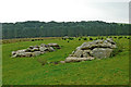 Boulders on hill pasture near Llanfair Clydogau, Ceredigion in SA48 8LL