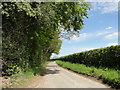 Single track road alongside Trunch Plantation in NR28 0QL