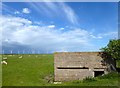 Pillbox near Camber Farm in TN31 7SJ