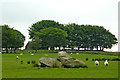 Rocks in pasture field on Waun Brynmeinog, Ceredigion in SA48 8LL