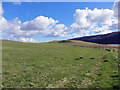 Waternish Farm grassland in IV55 8GB