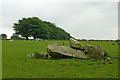 Hill pasture field on Waun Brynmeinog, Ceredigion in SA48 8LL