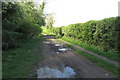Bridleway towards Park Wood in MK43 7BJ