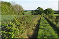 Bridleway to Grange Farm in Harrold Ward