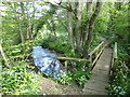Footpath, footbridge and River Asker, Uploders in DT6 4NN