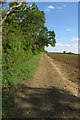 Footpath along the western edge of Forty Acre Wood in Harrold Ward