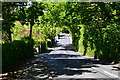 Tree tunnel in Ashley Lane in SO41 0FF