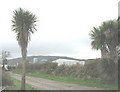 Palm trees at the entrance to Faerdre Farm in LL53 8RG