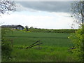 Crop field off the A128 near Bulphan in Bulphan
