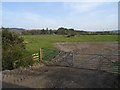 A field near Dalmellington in KA6 7RF