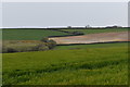 Fields in the valley east of Veryan in TR2 5QQ