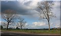 Grassland by Watling Street, Astcote in Pattishall and Astcote