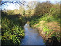 River Bulbourne in Bourne End in HP1 2RU