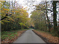 South of Pentney in autumn in PE32 1JG