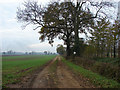 Farmtrack south of West Bilney in PE32 1HR