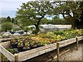 Plant nursery in SA4 3RQ