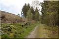 Offa's Dyke path, Llandegla Forest in LL11 3AB