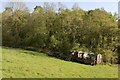 Old railway wagons in a field in LL15 1YE