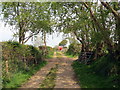 Llwybr ceffyl ger Ffarm Llangynllo / Bridleway near Llangynllo Farm in SA44 5JL