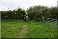 Path leading to School Road, Lingwood in NR13 4BQ