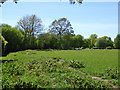 Field looking towards River Beult in TN26 3EF