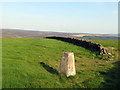 Trig Pillar, Beacon Hill in DL6 3PE