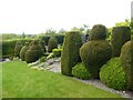 Topiary at Birkheads Secret Gardens in NE11 0HX