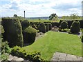 House Garden and topiary in NE11 0HX