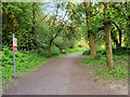 Path into Longton Brickcroft Local Nature Reserve in PR4 5YY