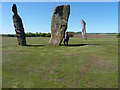 Lundin standing stones in KY8 6AH