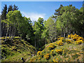 Looking up the Ruisaurie Burn in IV4 7EY