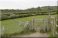 Gate on the Offa's Dyke path in LL17 0AP