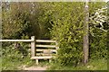 Stile and hedge on Offa's Dyke path in LL19 8PN