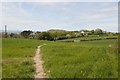 Offa's dyke path crossing a field in LL19 8PN