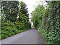 Minor road towards Leaton in TF6 5HE