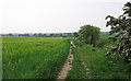 Footpath on Field Boundary, Noak Hill, Great Burstead in Noak Hill