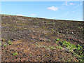 Scorched Earth, Saddleworth Moor in OL5 9DQ