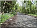 Road beside the north bank of the River Tay near to Cluny House in PH15 2ED