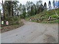 Woodland track to Derculich in PH9 0LR