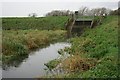 Flood Defence, River Leven in TS9 5HF