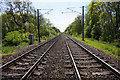 Looking south from Fowler Bridge Road Level Crossing in DN5 0DH