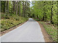 Roadway in Faskally Wood in PH16 5JZ