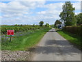 Hedge-lined minor road at Westgillsyke in DG16 5HR