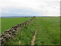 Wall-side field path heading in the direction of Farnley Moor End in HD4 6XB