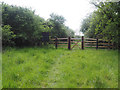Gate entrance to Foulden Common in IP26 5AX