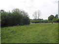 Southerly view across Foulden Common in IP26 5AX