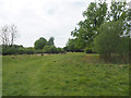 Foulden Common landscape in IP26 5AX