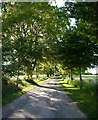 Track leading to Bloxham Lodge in SN8 3NT