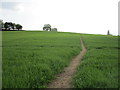 Footpath to Fen Road, Heighington in Heighington