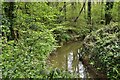 Highstreet Green: River passing under White Beech Lane in GU8 4XZ